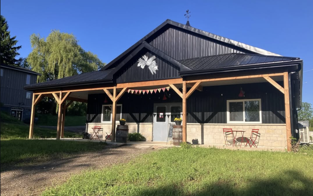 Growing a Farm Store at Manorun Farm